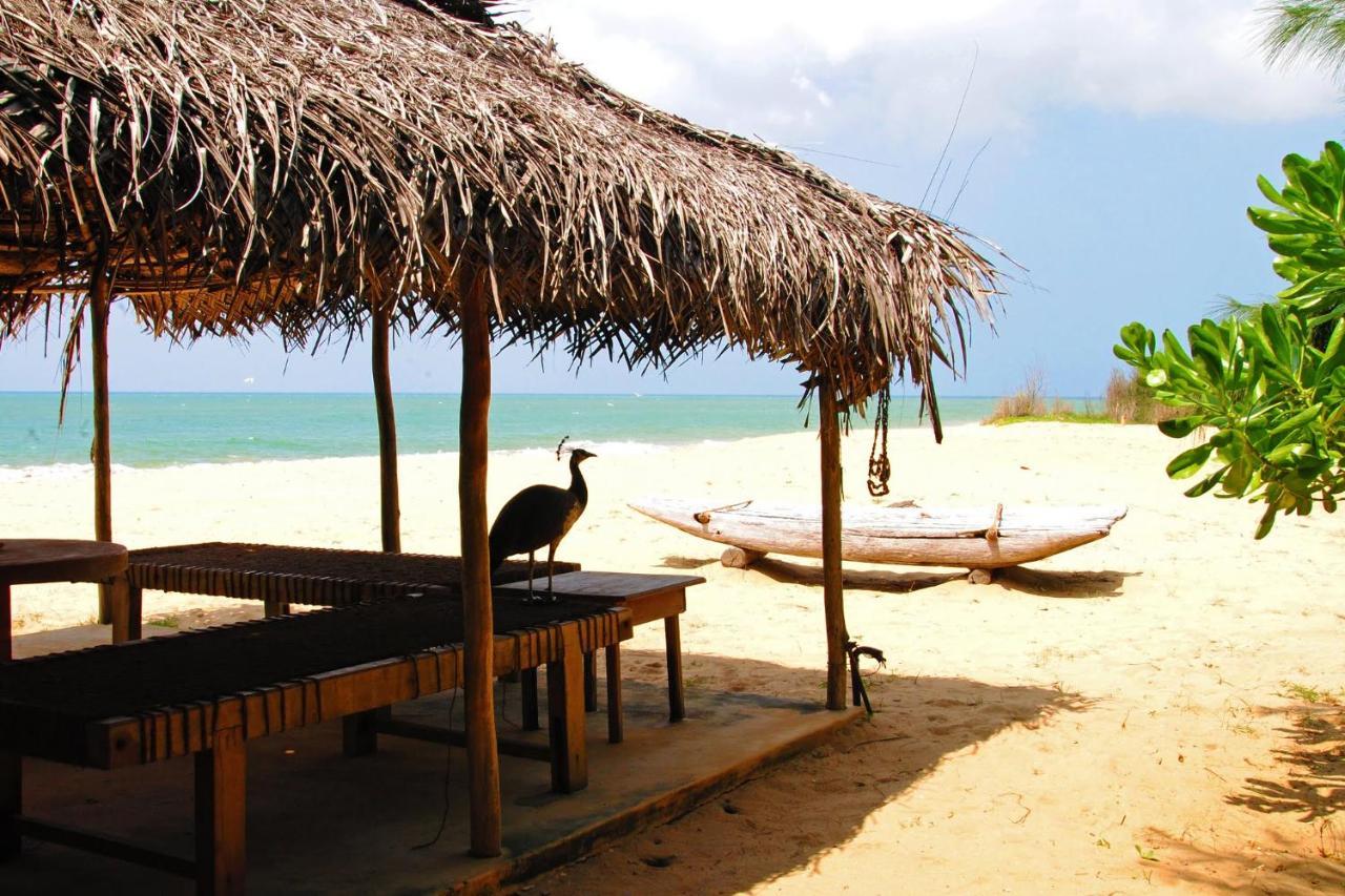 Khomba Beach House Alankuda Екстер'єр фото
